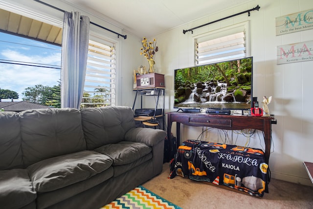 4013 Hoohana St, Lihue, HI 96766 - living room with carpet floors