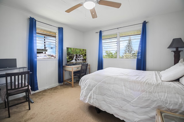4013 Hoohana St, Lihue, HI 96766 - carpeted bedroom with multiple windows and ceiling fan
