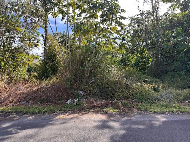 Mauna Kea Dr, Pahoa, HI 96778