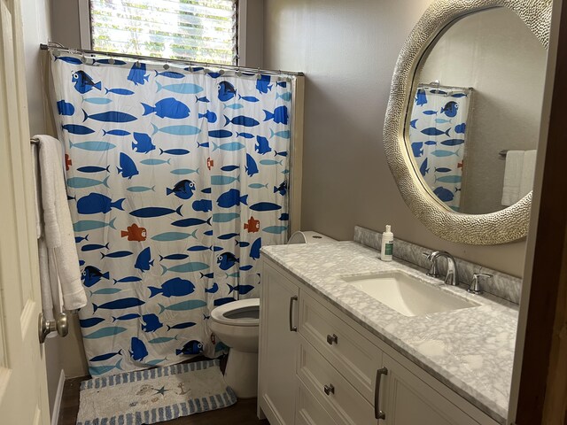 full bathroom featuring toilet, vanity, and curtained shower