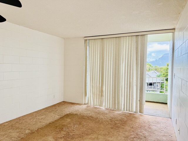 carpeted empty room with concrete block wall and a textured ceiling