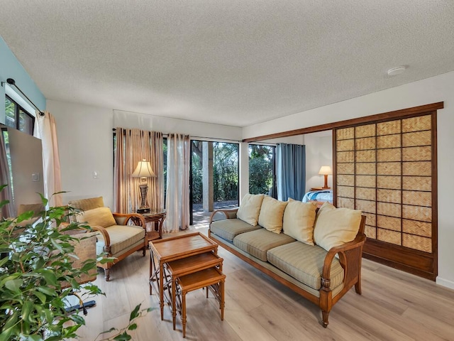 living room with a textured ceiling, light wood-type flooring, and plenty of natural light