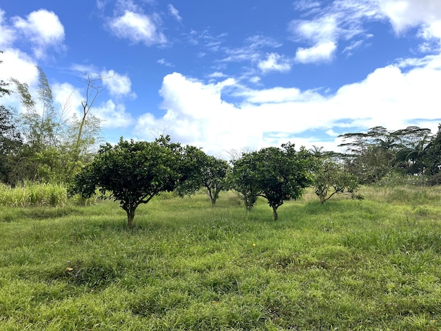 view of nature with a rural view