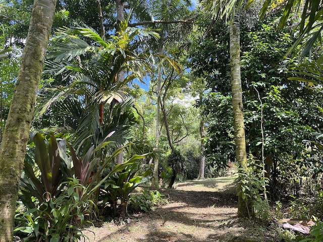 view of nature