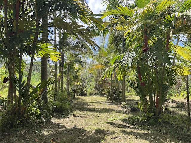 view of landscape