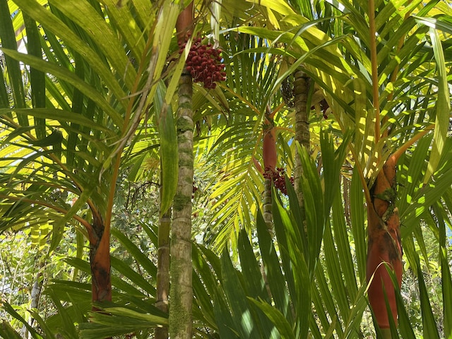 view of details