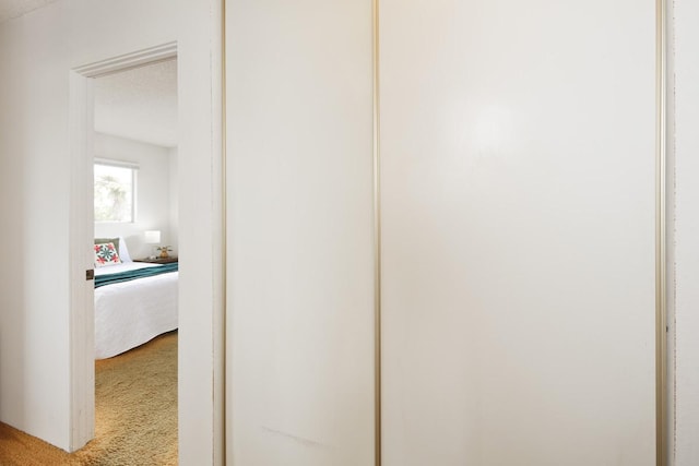 hallway featuring carpet flooring