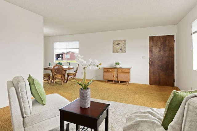 carpeted living room featuring plenty of natural light
