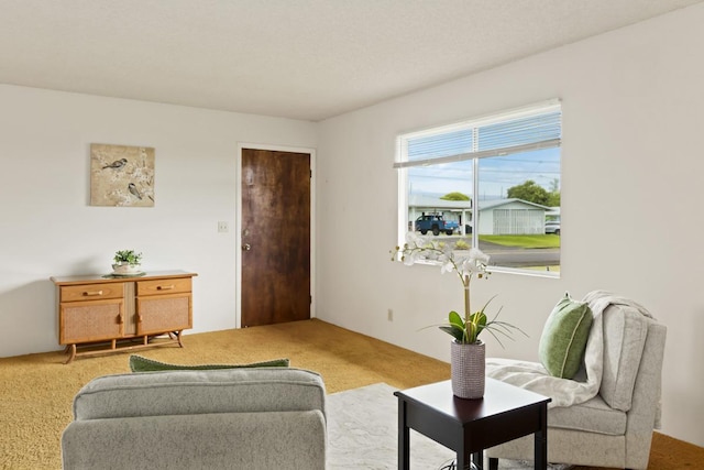 sitting room with light carpet