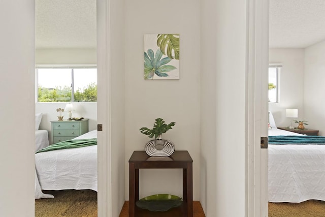 corridor featuring carpet floors, plenty of natural light, and a textured ceiling