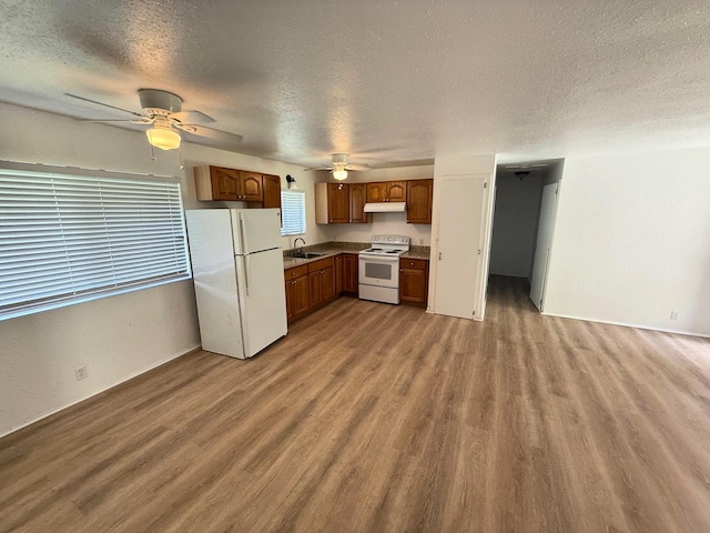 kitchen featuring white appliances, under cabinet range hood, ceiling fan, and a sink