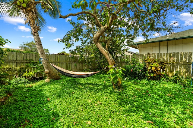 5366 Kumole St, Kapaa, HI 96746 - view of yard with a fenced backyard