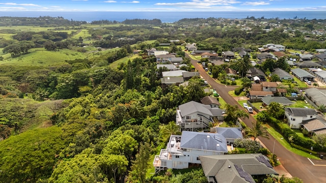 5366 Kumole St, Kapaa, HI 96746 - birds eye view of property with a residential view