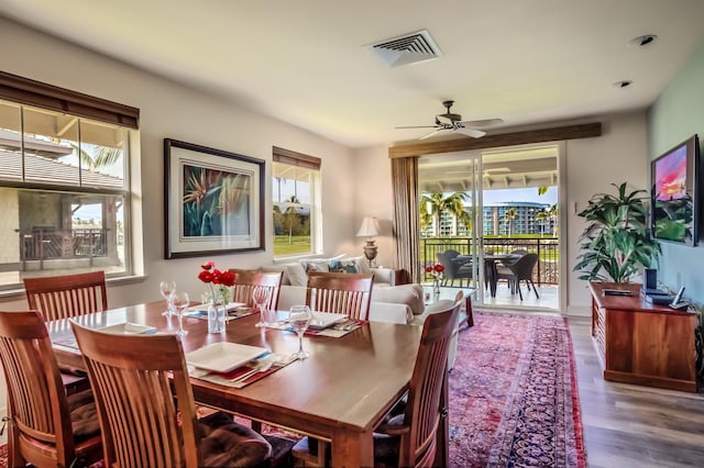 dining room with a ceiling fan, visible vents, plenty of natural light, and wood finished floors