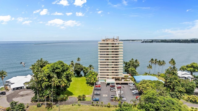 84 Pukihae St Unit 802, Hilo, HI 96720 - bird's eye view with a water view