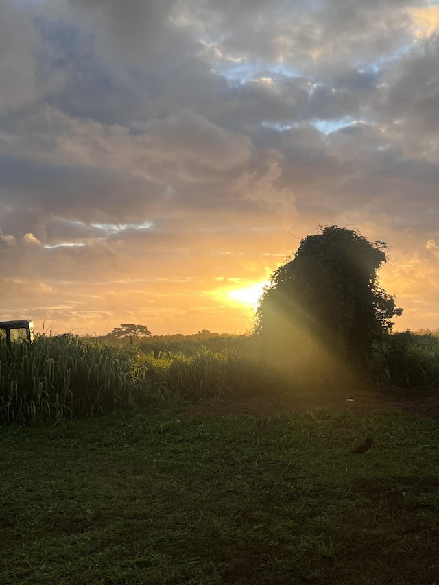Eggerking Rd Unit 3, Kapaa, HI 96746