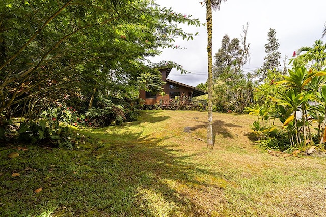 15-1429 22nd Ave, Keaau, HI 96749 - view of green lawn
