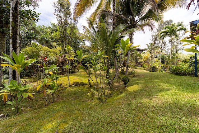 15-1429 22nd Ave, Keaau, HI 96749 - view of grassy yard
