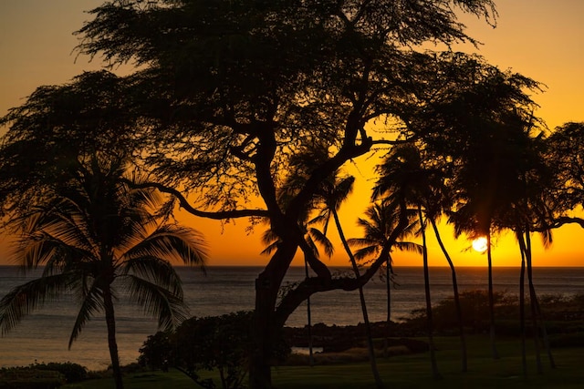 66-84 Kaunaoa Dr Unit A21, Kamuela, HI 96743 - water view