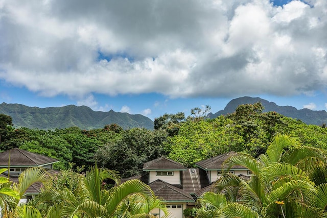 2110 Kaneka St Unit 73, Lihue, HI 96766 - property view of mountains