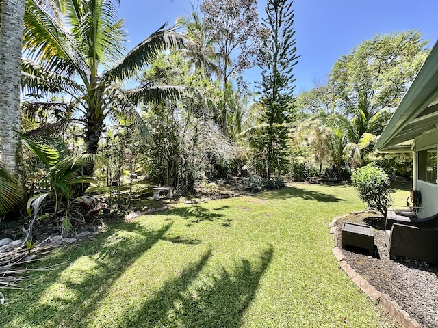view of green lawn