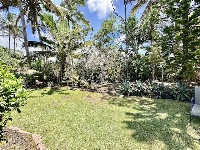 view of green lawn