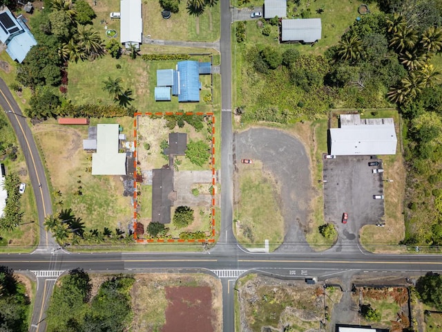 drone / aerial view