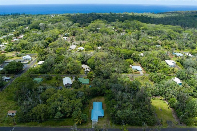 aerial view of property's location with a forest and a large body of water