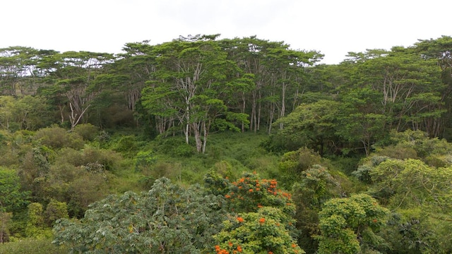 Kukui Camp Rd, Mountain View, HI 96771