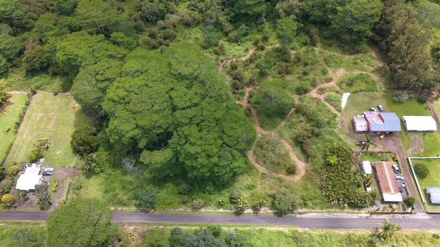 Kukui Camp Rd, Mountain View, HI 96771