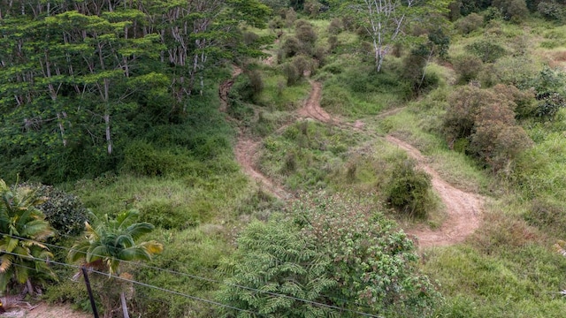 Kukui Camp Rd, Mountain View, HI 96771