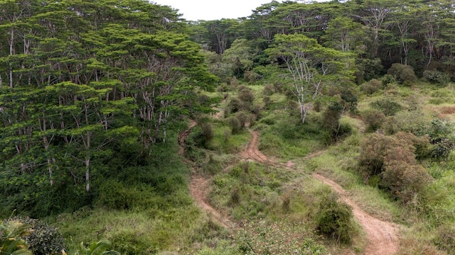Kukui Camp Rd, Mountain View, HI 96771