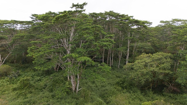 Kukui Camp Rd, Mountain View, HI 96771