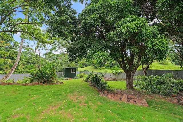 4429-A Kaluamakua Pl, Kilauea, HI 96754 - view of yard featuring an outdoor structure, a fenced backyard, and a shed