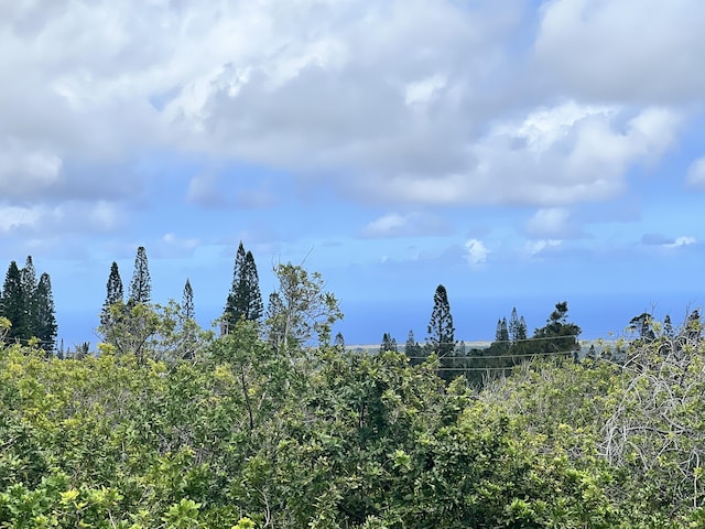 view of landscape
