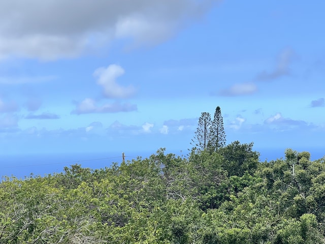view of landscape