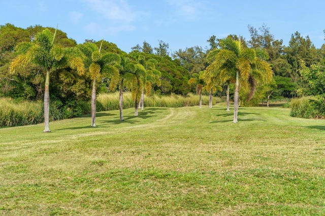view of property's community featuring a yard