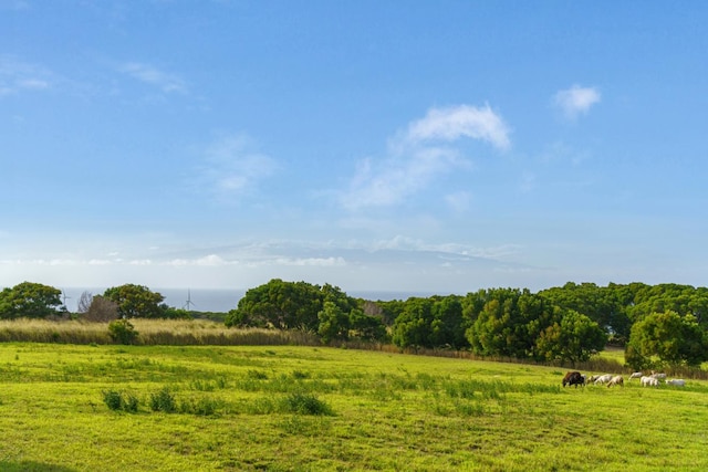 view of local wilderness featuring a rural view