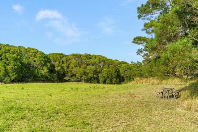 view of nature with a forest view