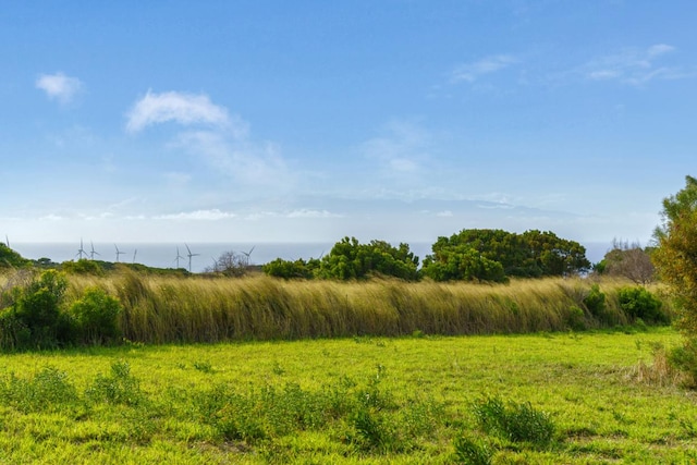 view of nature with a water view