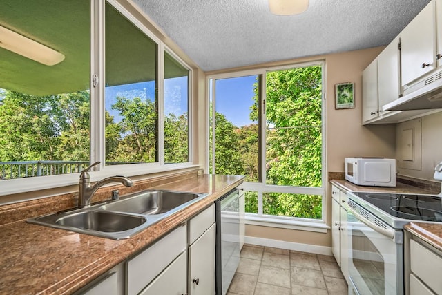 3811 Edward Rd Unit 1206, Princeville, HI 96722 - kitchen with white appliances, baseboards, a sink, white cabinetry, and under cabinet range hood