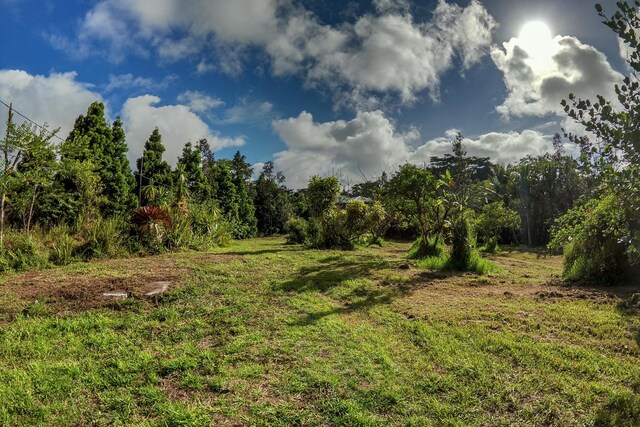 view of undeveloped land