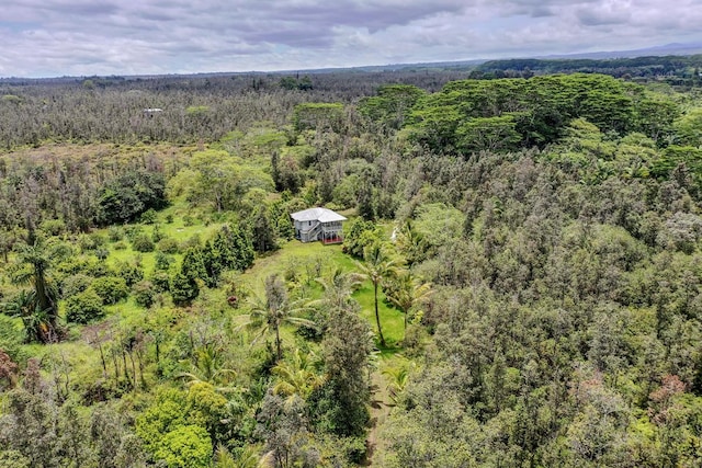 bird's eye view of a forest