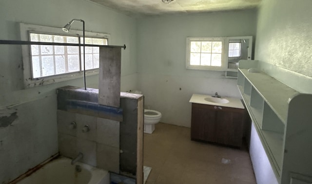 1360 Kaumana Dr, Hilo, HI 96720 - full bathroom with vanity, a bathing tub, and toilet