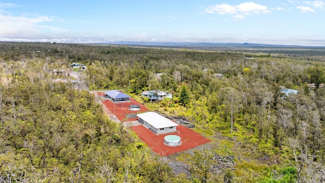 drone / aerial view of a forest