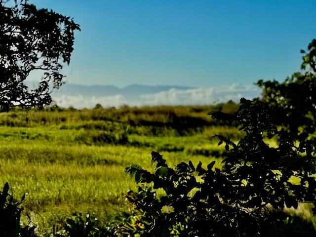 view of landscape with a rural view