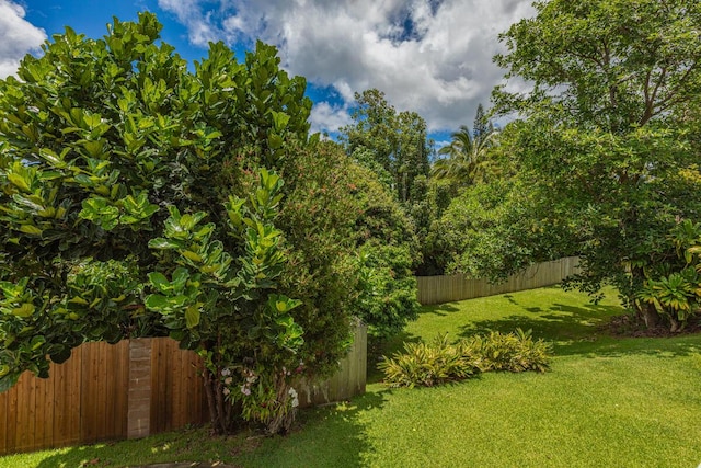 view of yard
