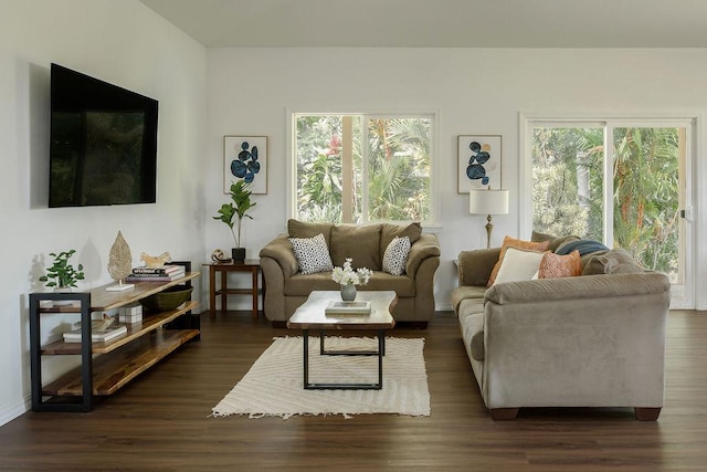 27-414 Old Mamalahoa Hwy, Papaikou, HI 96781 - living room with dark wood-style flooring