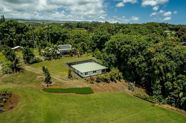 27-414 Old Mamalahoa Hwy, Papaikou, HI 96781 - view of subject property with a heavily wooded area