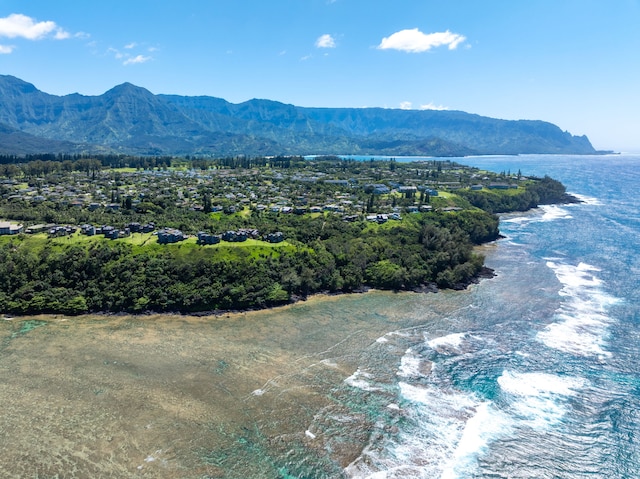 birds eye view of property featuring a water and mountain view